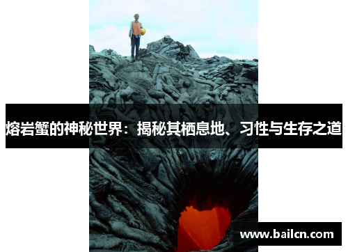 熔岩蟹的神秘世界：揭秘其栖息地、习性与生存之道